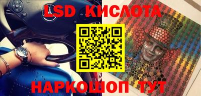 стафф Можга