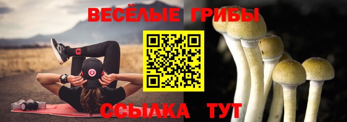 Тольятти  цена наркотик  Вход с VPN  Галлюциногенные грибы прущие грибы 
